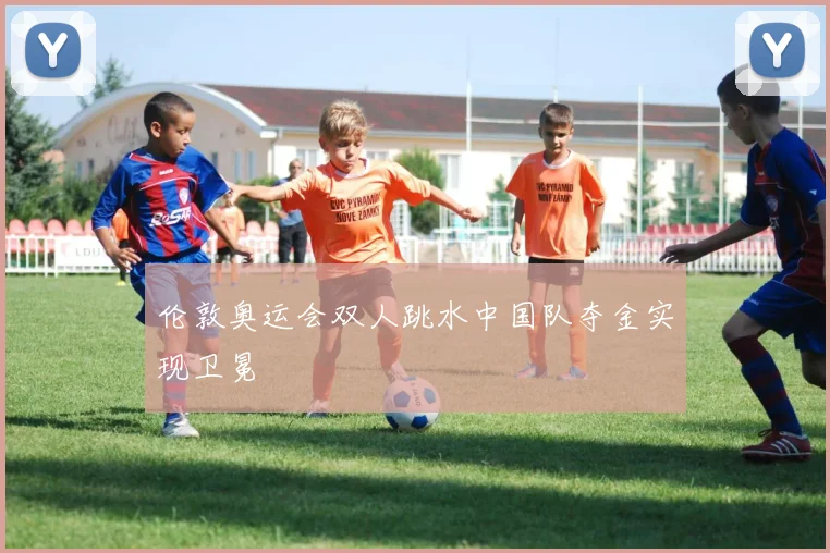 伦敦奥运会双人跳水中国队夺金实现卫冕