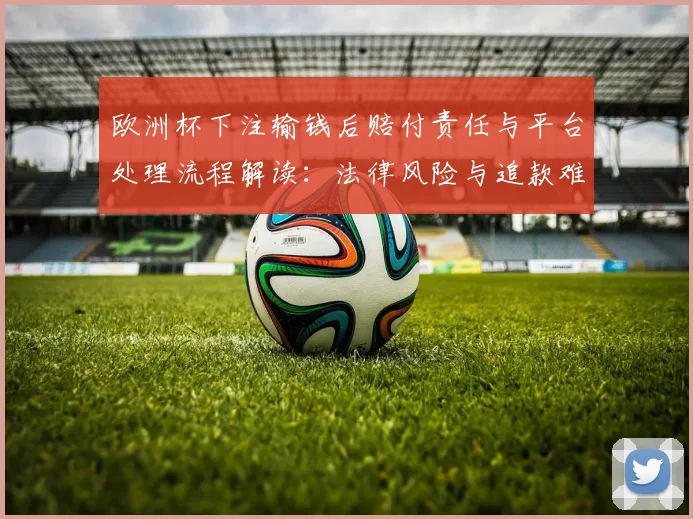 欧洲杯下注输钱后赔付责任与平台处理流程解读：法律风险与追款难点