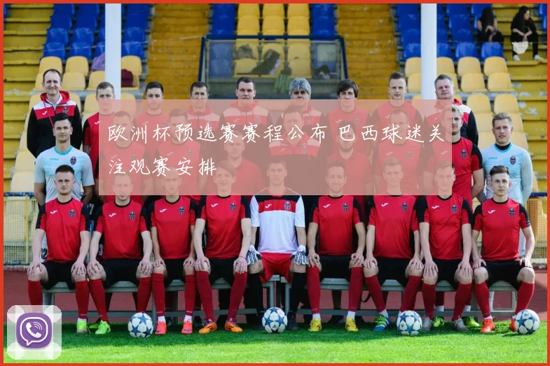 欧洲杯预选赛赛程公布 巴西球迷关注观赛安排