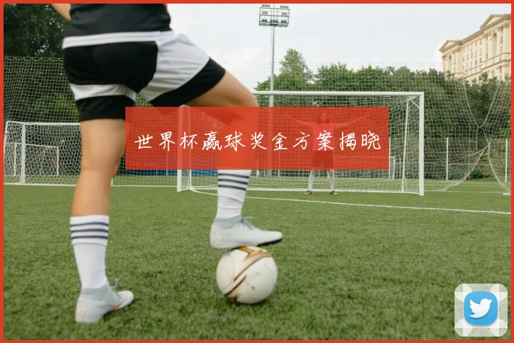 世界杯赢球奖金方案揭晓