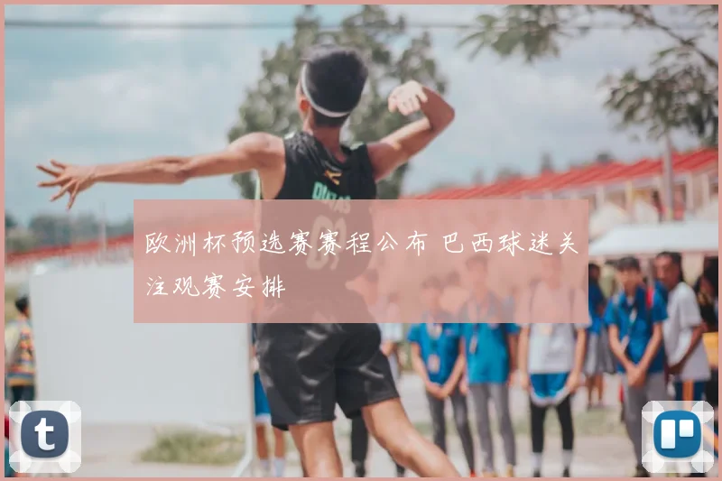 欧洲杯预选赛赛程公布 巴西球迷关注观赛安排