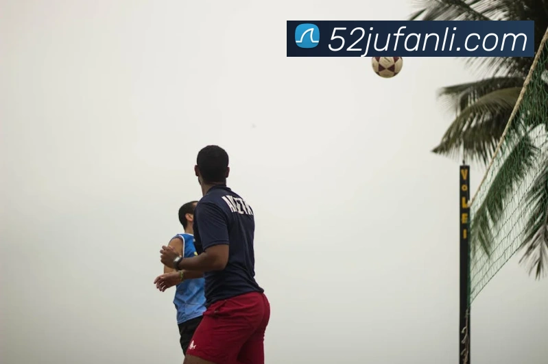 ueb体育在线登录入口平台生态图